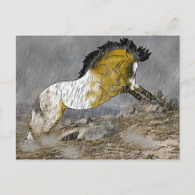 Postal Caballo Appaloosa de la piel de la piel salvaje (Anverso)