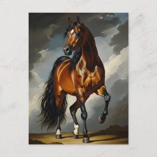 Postal caballo árabe