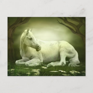 Postal Caballo árabe gris