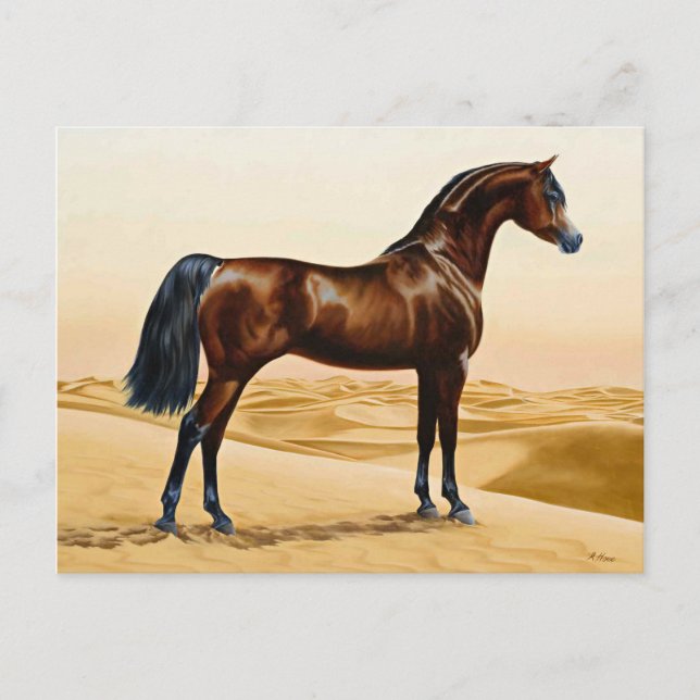Postal Caballo árabe - William Barraud (Anverso)