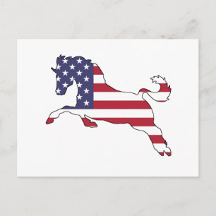 Postal Caballo "Bandera estadounidense"