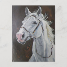 Postal Caballo blanco