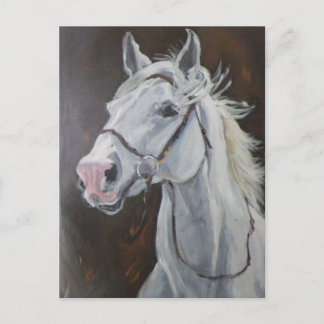 Postal Caballo blanco