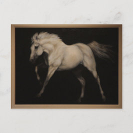 Postal Caballo blanco