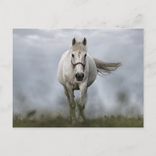Postal Caballo blanco corriendo