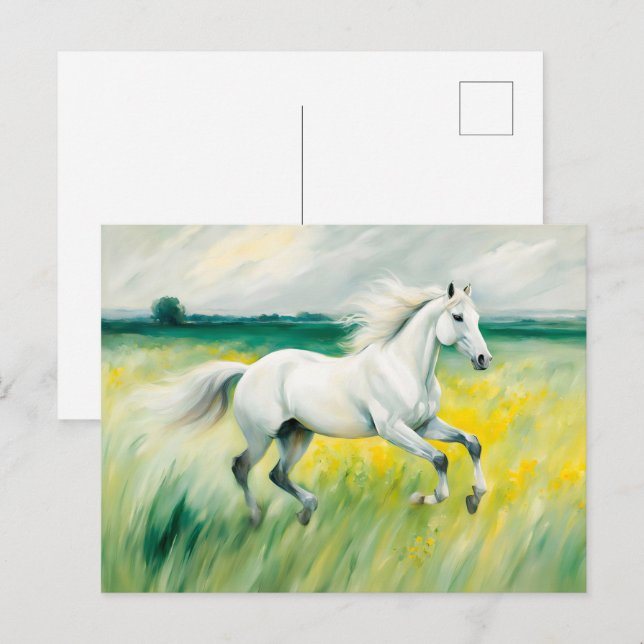 Postal Caballo Blanco Corriendo a Través de una Pradera (Anverso / Reverso)