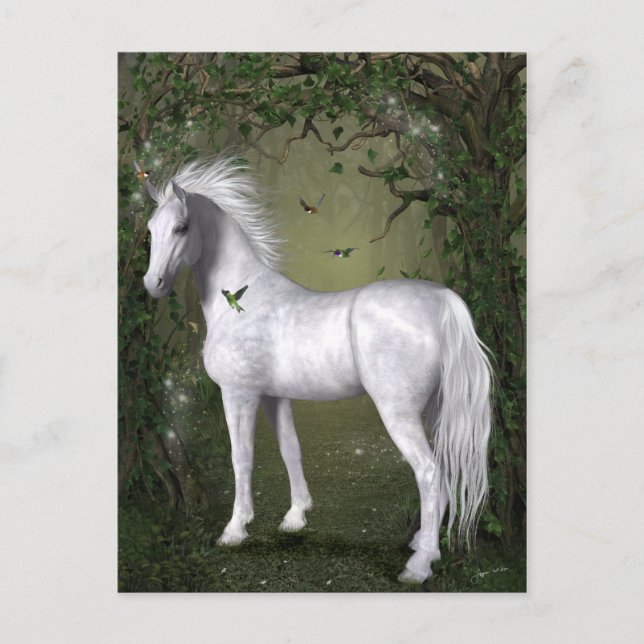 Postal Caballo blanco en las maderas con los colibríes (Anverso)