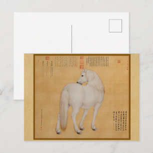 Postal Caballo Blanco Mirando Hacia Atrás - Arte Chino Vi