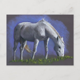 POSTAL CABALLO BLANCO: PENCIENTE DE COLOR REALISTA