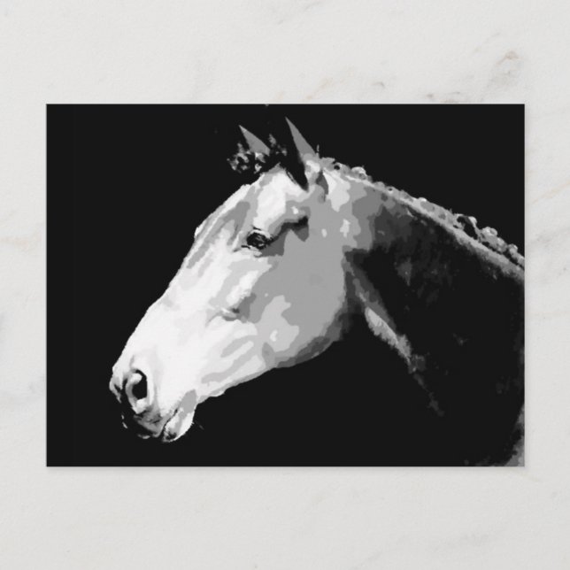 Postal Caballo blanco y negro (Anverso)
