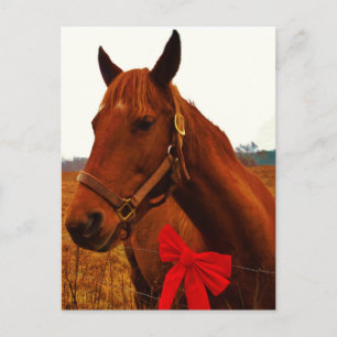 Postal Caballo con arco rojo