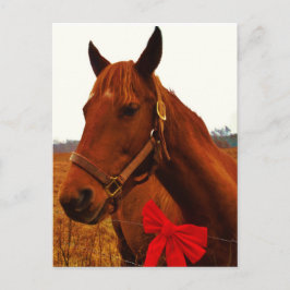 Postal Caballo con lazo rojo