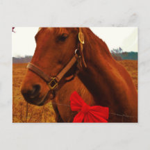 Caballo con lazo rojo