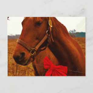 Postal Caballo con lazo rojo