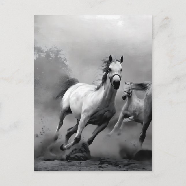 Postal Caballo corriendo (Anverso)