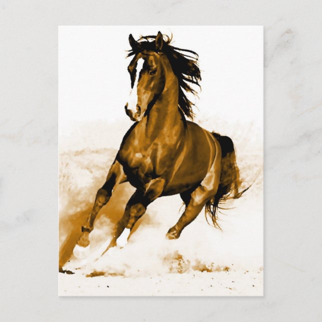 Postal Caballo corriendo (Anverso)