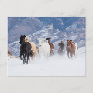 Postal Caballo corriendo a través de la nieve