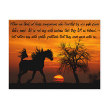 Caballo corriendo libre al atardecer