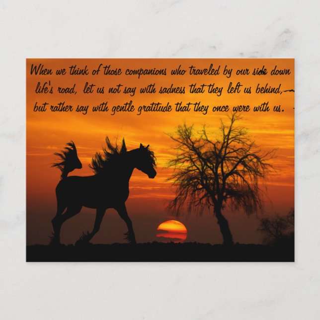 Postal Caballo corriendo libre al atardecer (Anverso)
