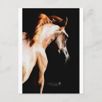 Caballo corriente