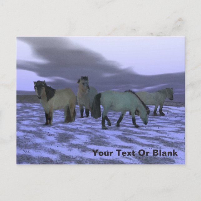 Postal Caballo Dawn (Anverso)