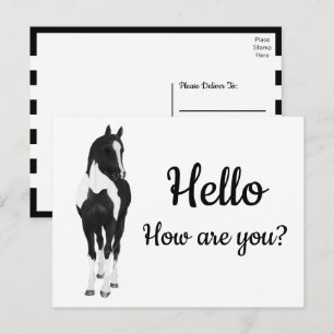 Postal Caballo de acuarela occidental pony negro blanco H