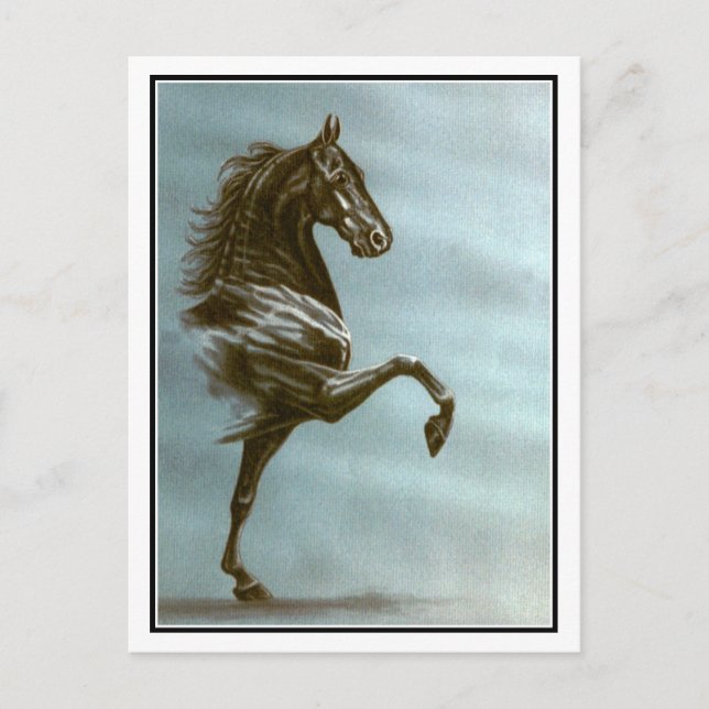 Postal Caballo de alforja negra (Anverso)