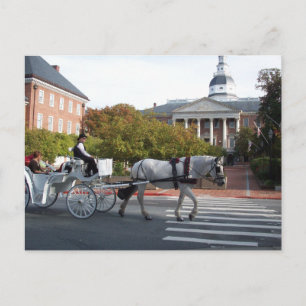Postal Caballo de Annapolis y paseo en carro