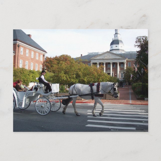 Postal Caballo de Annapolis y paseo en carro (Anverso)