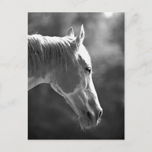Postal Caballo de arte pop blanco y negro (Anverso)