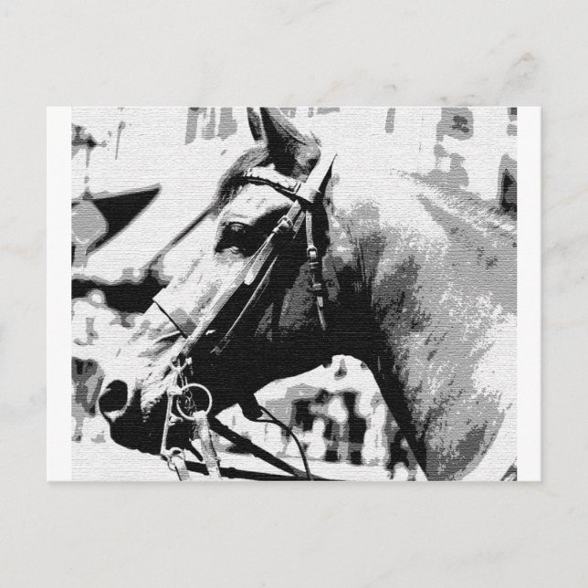 Postal Caballo de arte pop blanco y negro (Anverso)