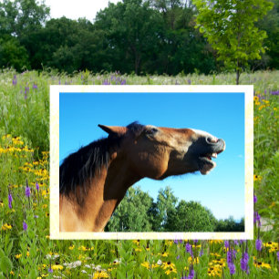 Postal Caballo de Bahía llorando al aire