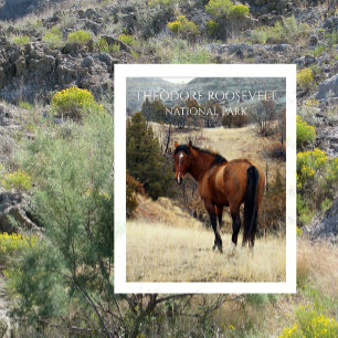 Postal Caballo de Bahía Salvaje. Parque nacional Theodore