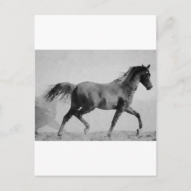 Postal Caballo de Caminata Blanco y Negro (Anverso)