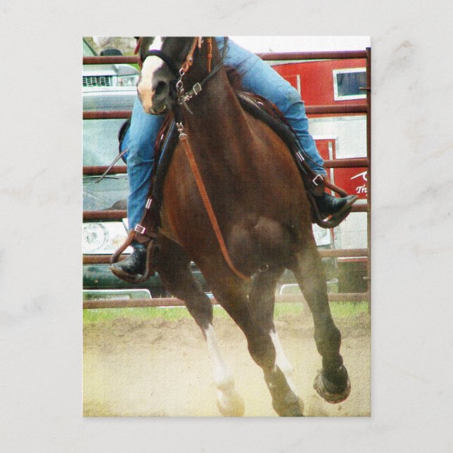 Postal Caballo de carreras de barril (Anverso)