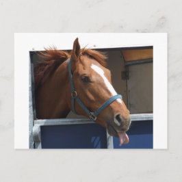 Postal Caballo de castaño con queso