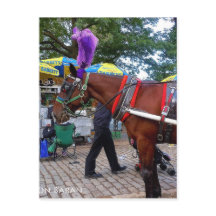 Caballo de Central Park