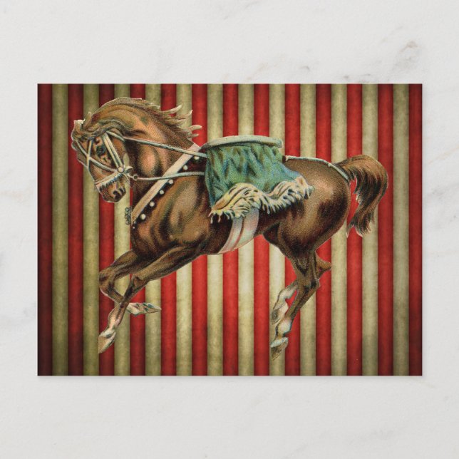 Postal caballo de circo vintage (Anverso)