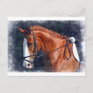 Postal Caballo de Dressage