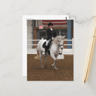 Postal Caballo de Dressage gris