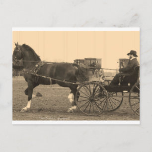 Postal Caballo de época y transporte en Sepia