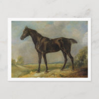 Caballo de equitación negro de Golding Constable, 