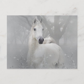 Postal Caballo de fantasía