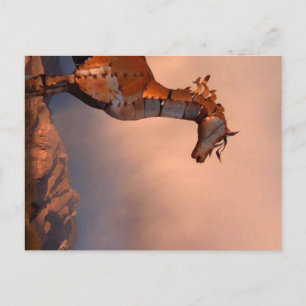 Postal "Caballo de hierro"