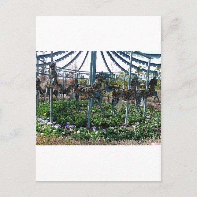 Postal caballo de jardín (Anverso)