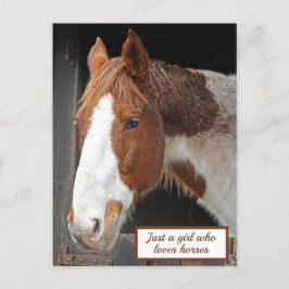 Postal Caballo de jengibre en granja sólo un Chica que am