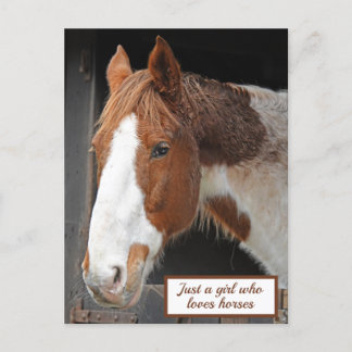Postal Caballo de jengibre en granja sólo un Chica que am