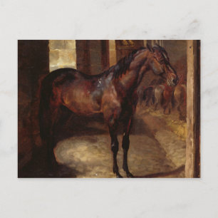 Postal Caballo de la bahía oscura en el establo