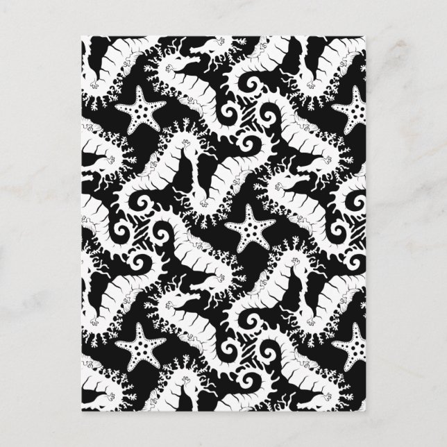 Postal Caballo de mar y pez estrella - Patrón blanco y ne (Anverso)