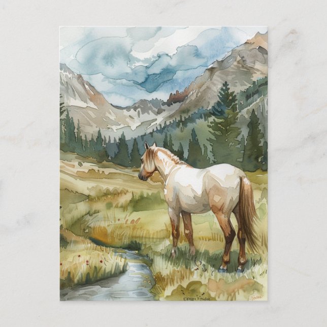Postal Caballo de Montaña (Anverso)